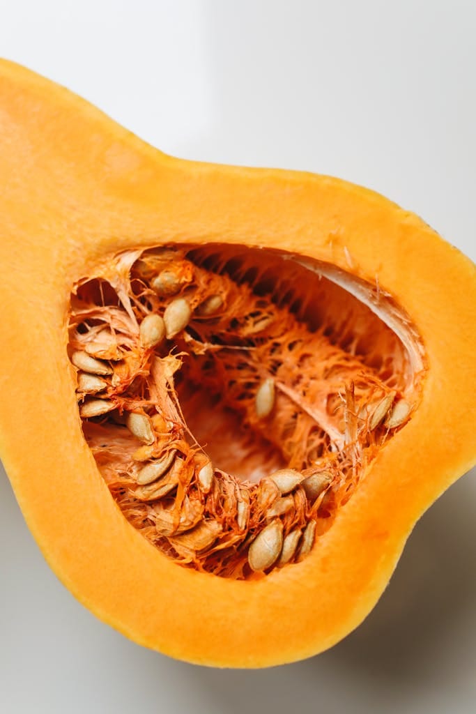 can dogs eat pumpkin seeds