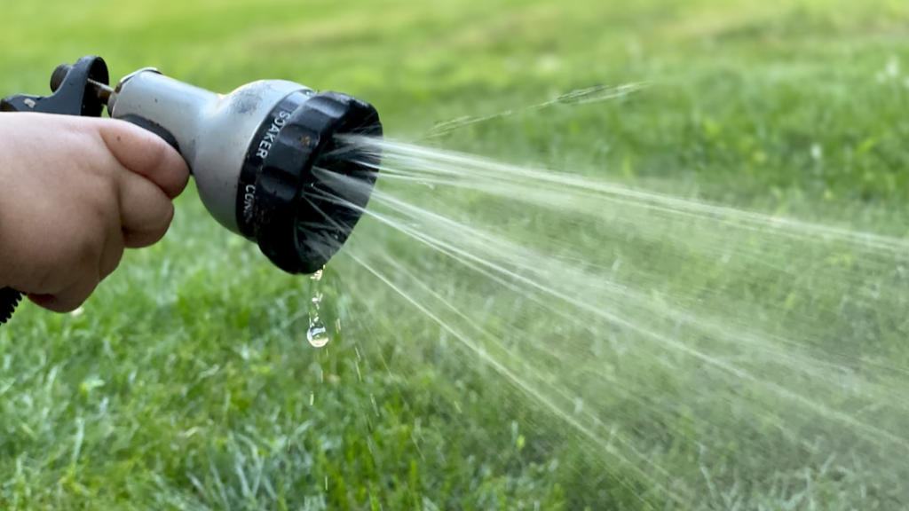 how often to water new grass seed