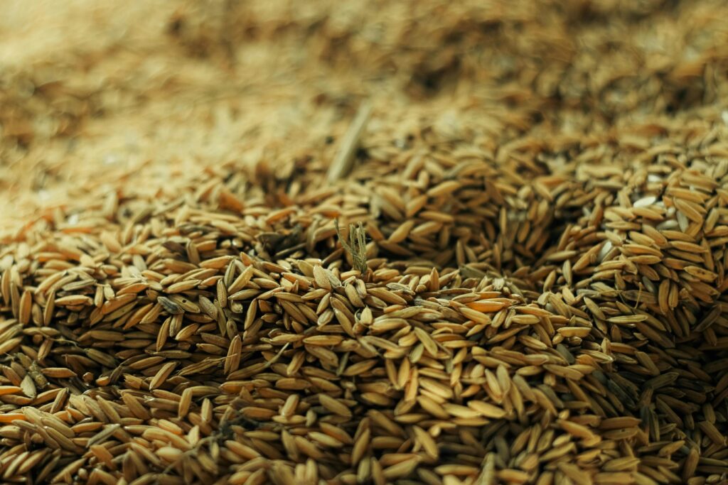 A detailed view of wheat grains in a pile, ready for processing.