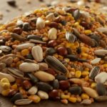 seeds in bird food